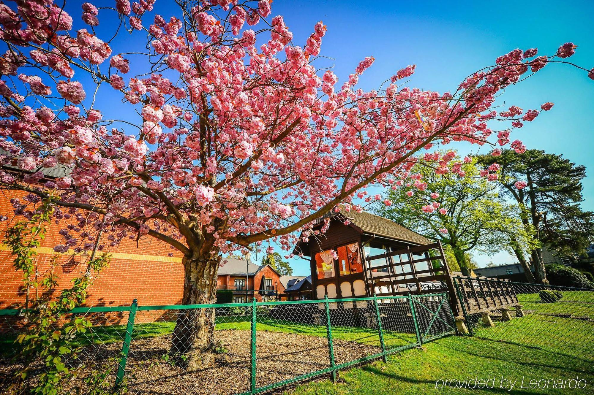 Foxhills Club & Resort Оттершо Экстерьер фото